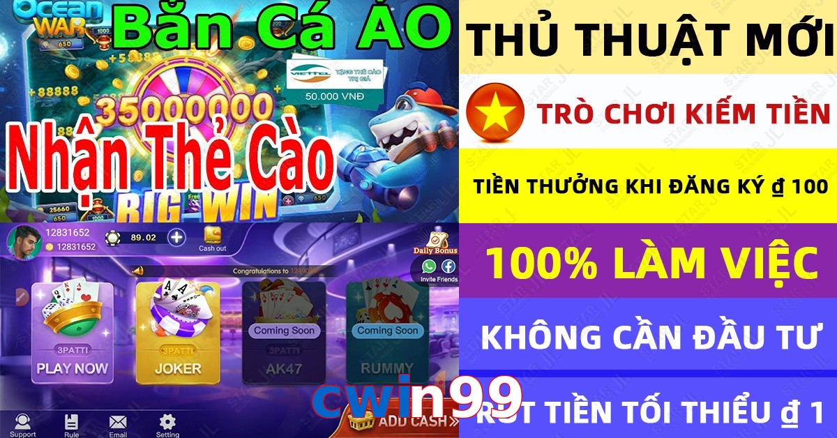 cwin99
